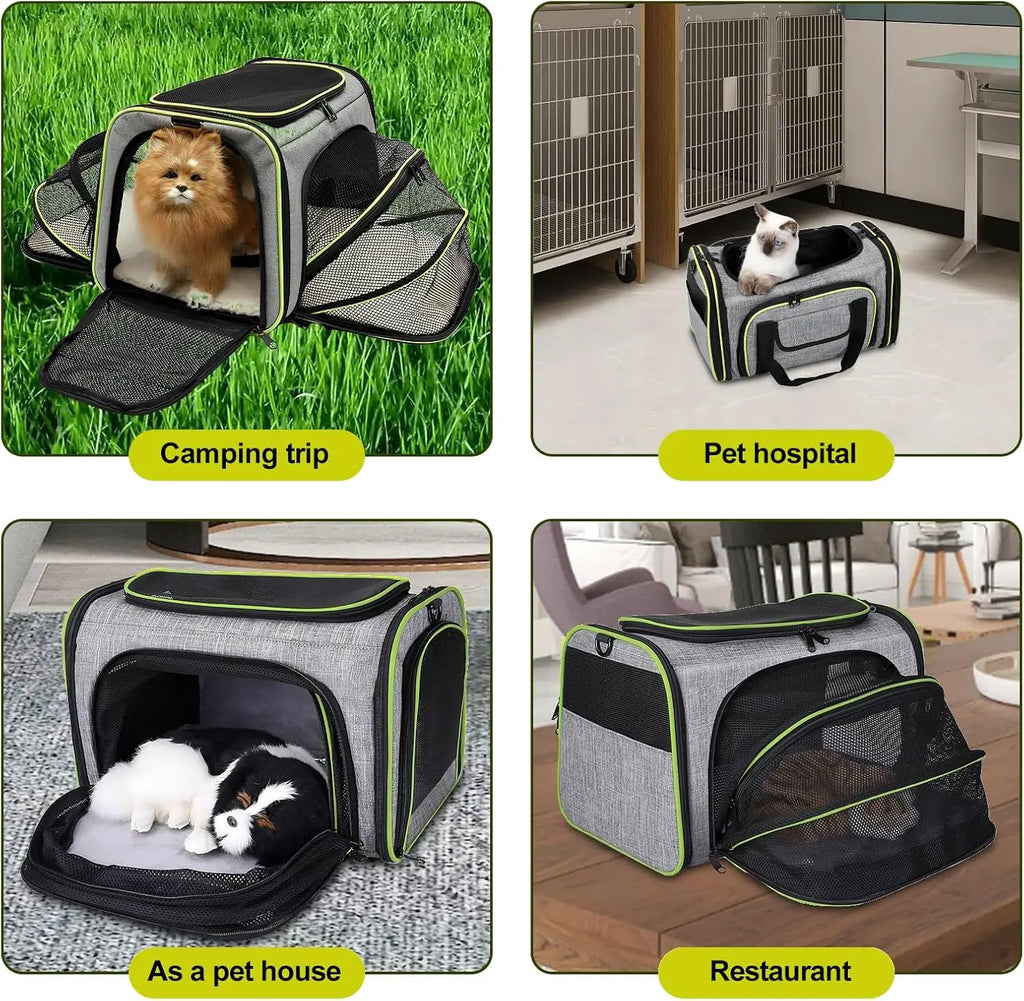 Pawvera™ 4-Sided Expandable Pet Carrier – Airline Approved Soft Travel Bag for Cats & Small Dogs