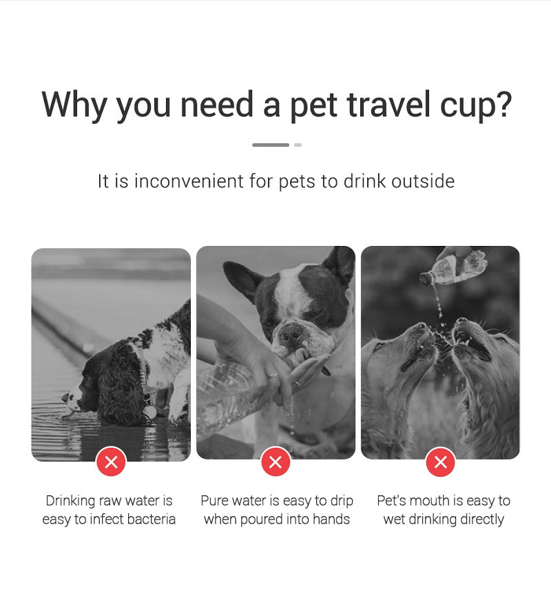 Portable Leakproof Dog Water Bottle for Travel & Walks – Pawvera™