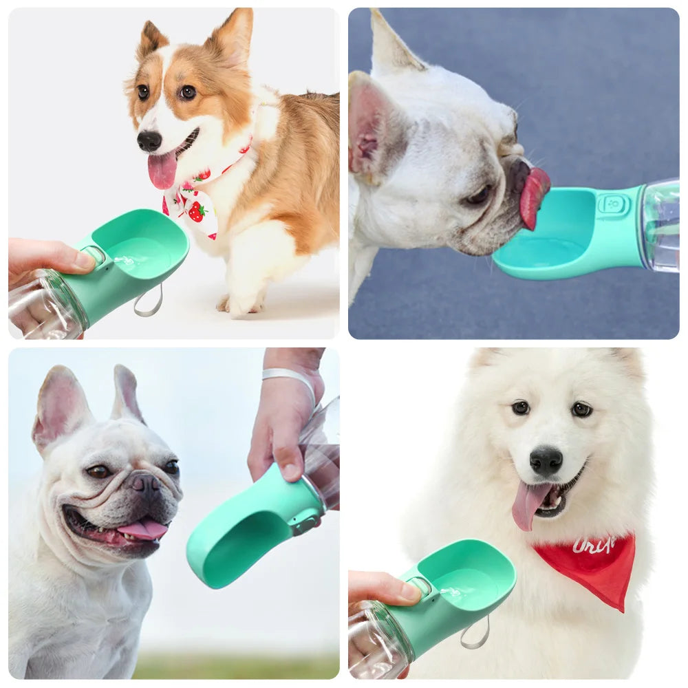 Portable Leakproof Dog Water Bottle for Travel & Walks – Pawvera™