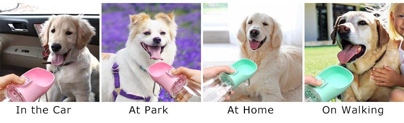 Portable Leakproof Dog Water Bottle for Travel & Walks – Pawvera™