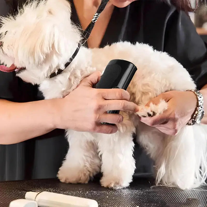 FurControl™ Professional Deshedding Brush for Dogs & Cats – Reduce Shedding & Keep Coat Healthy